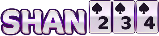 mmshan234.net Logo